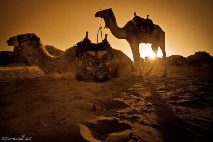 Wadi Rum Fun Time Tour'S Exterior foto