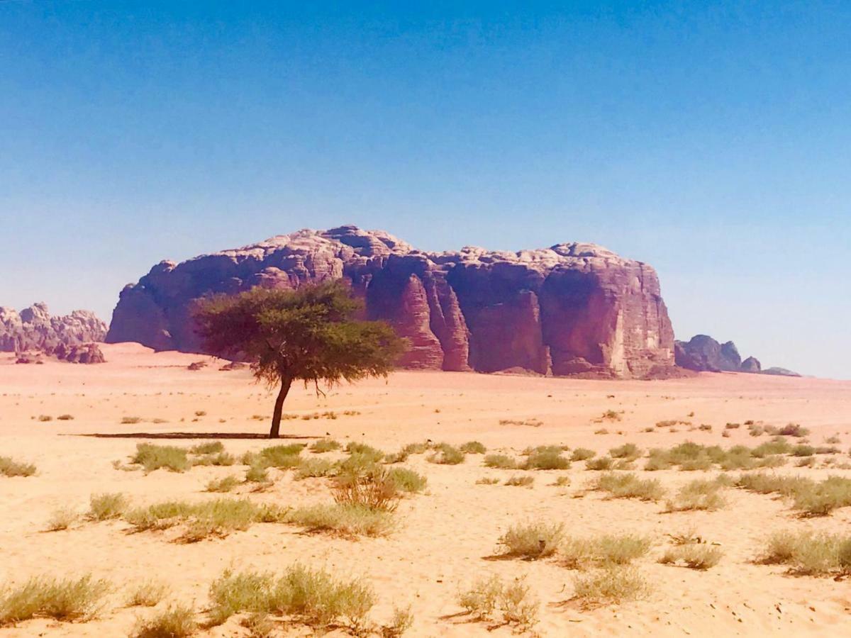 Wadi Rum Fun Time Tour'S Exterior foto